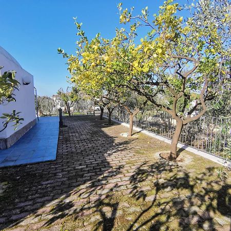 Tenuta Solleone Peschici Exteriér fotografie