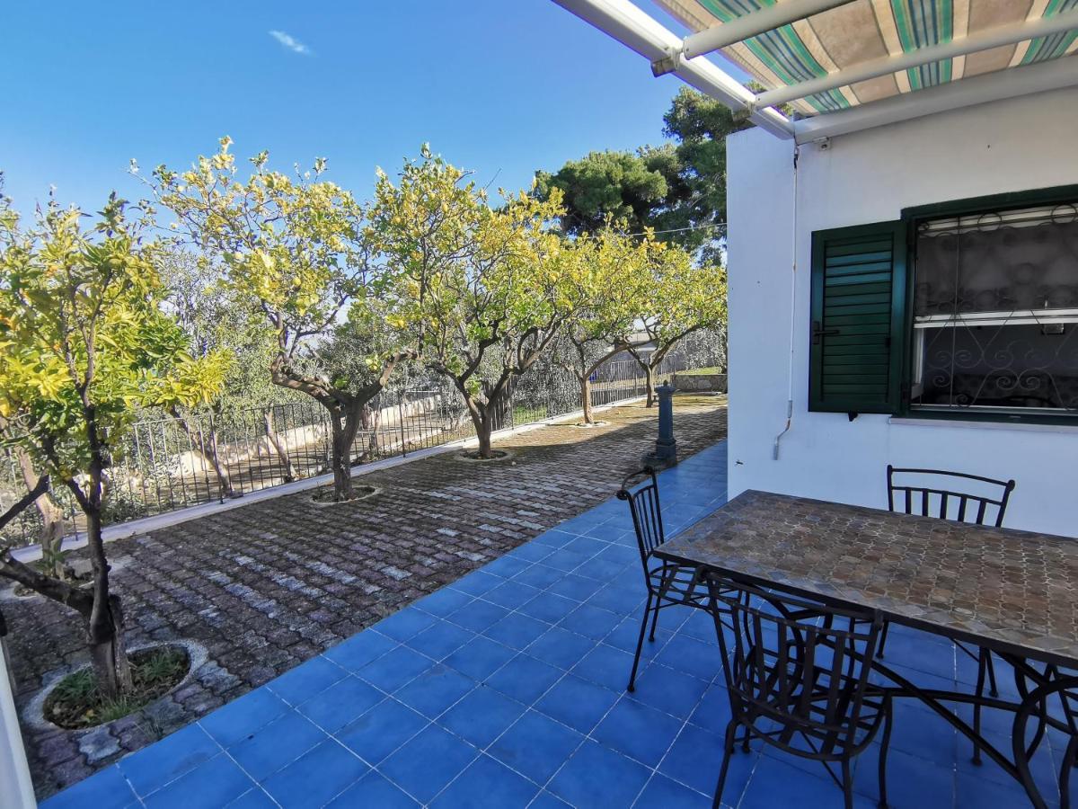 Tenuta Solleone Peschici Exteriér fotografie